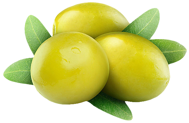aceituna1